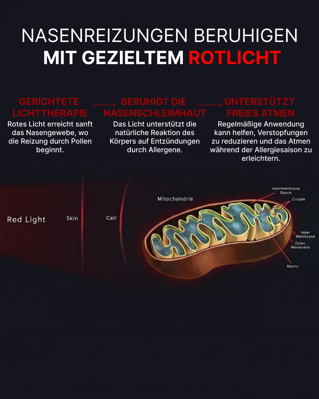 Red Light Nasal Therapy – 3